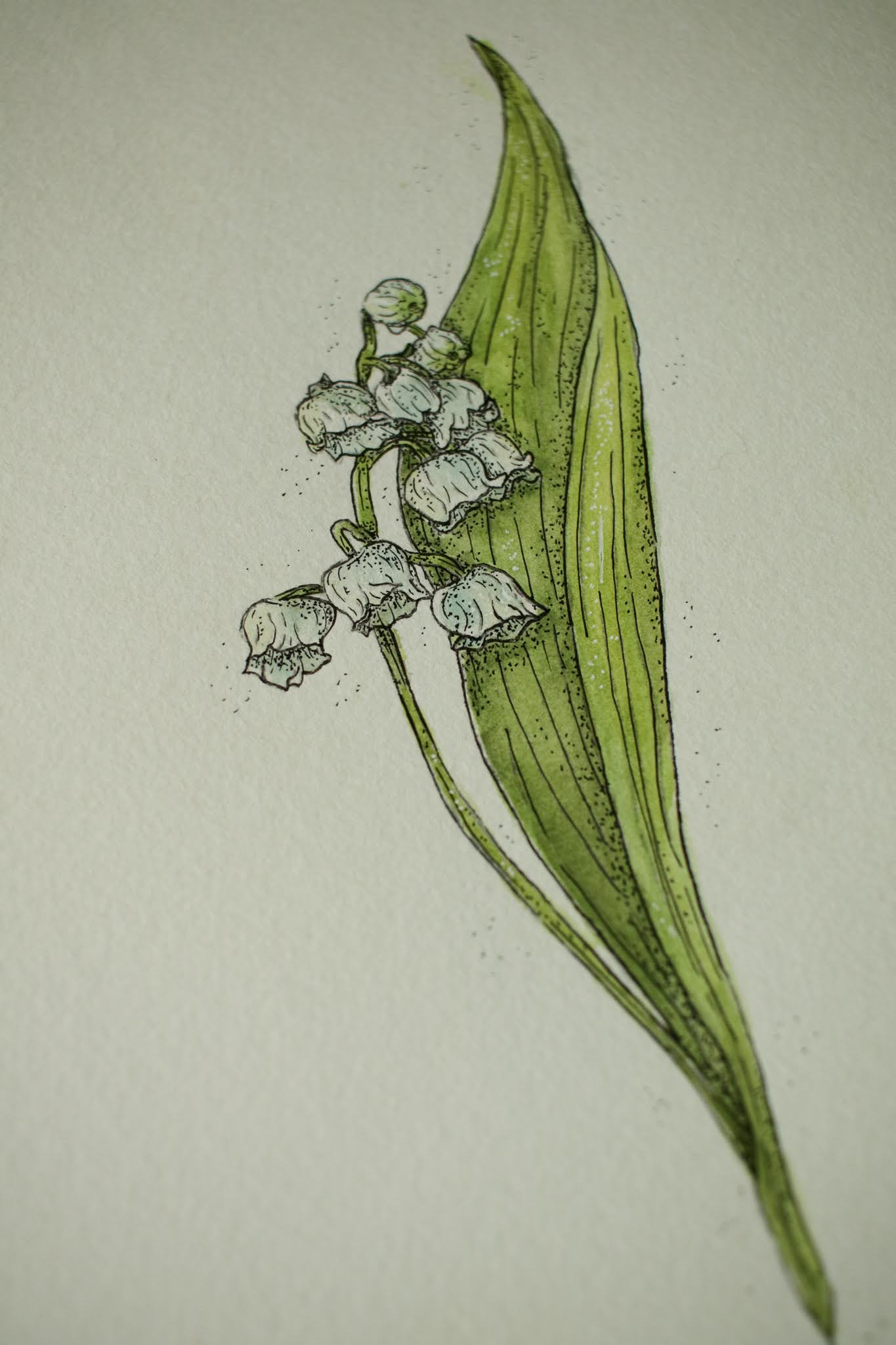 Lily of the Valley - Original Watercolour Painting