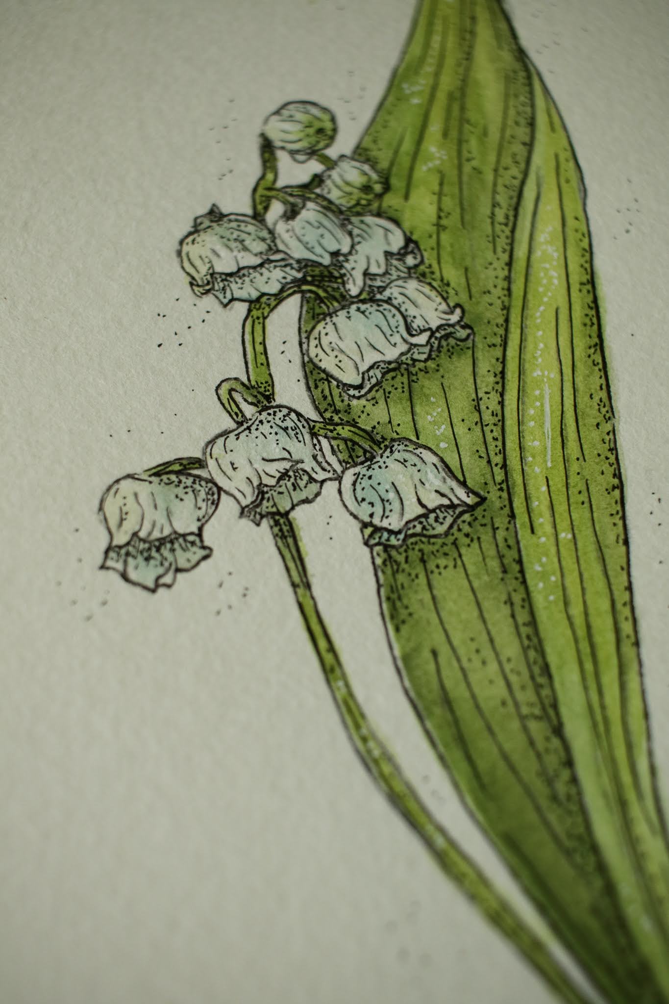 Lily of the Valley - Original Watercolour Painting