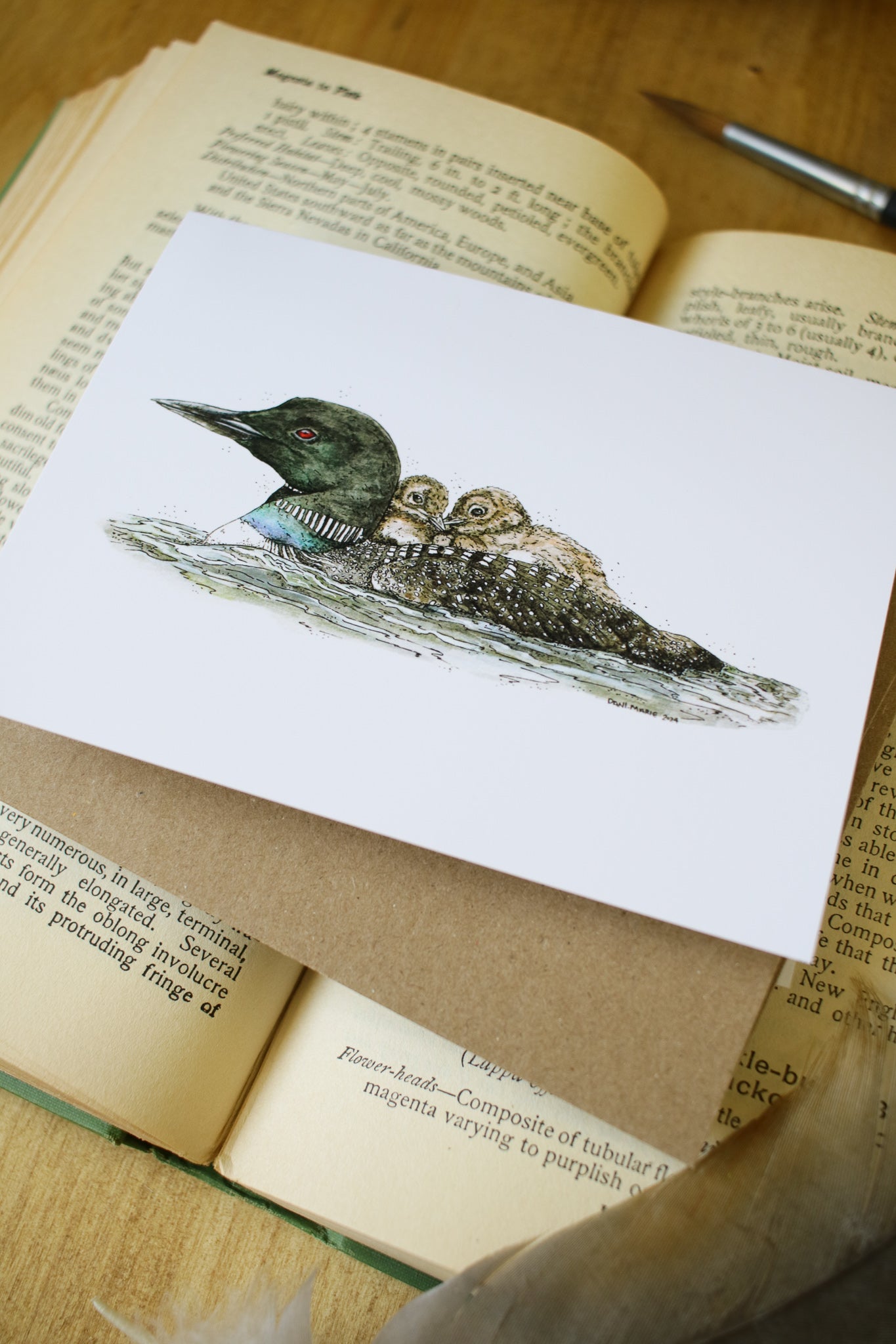 Loon with Babies - SMALL Greeting Card