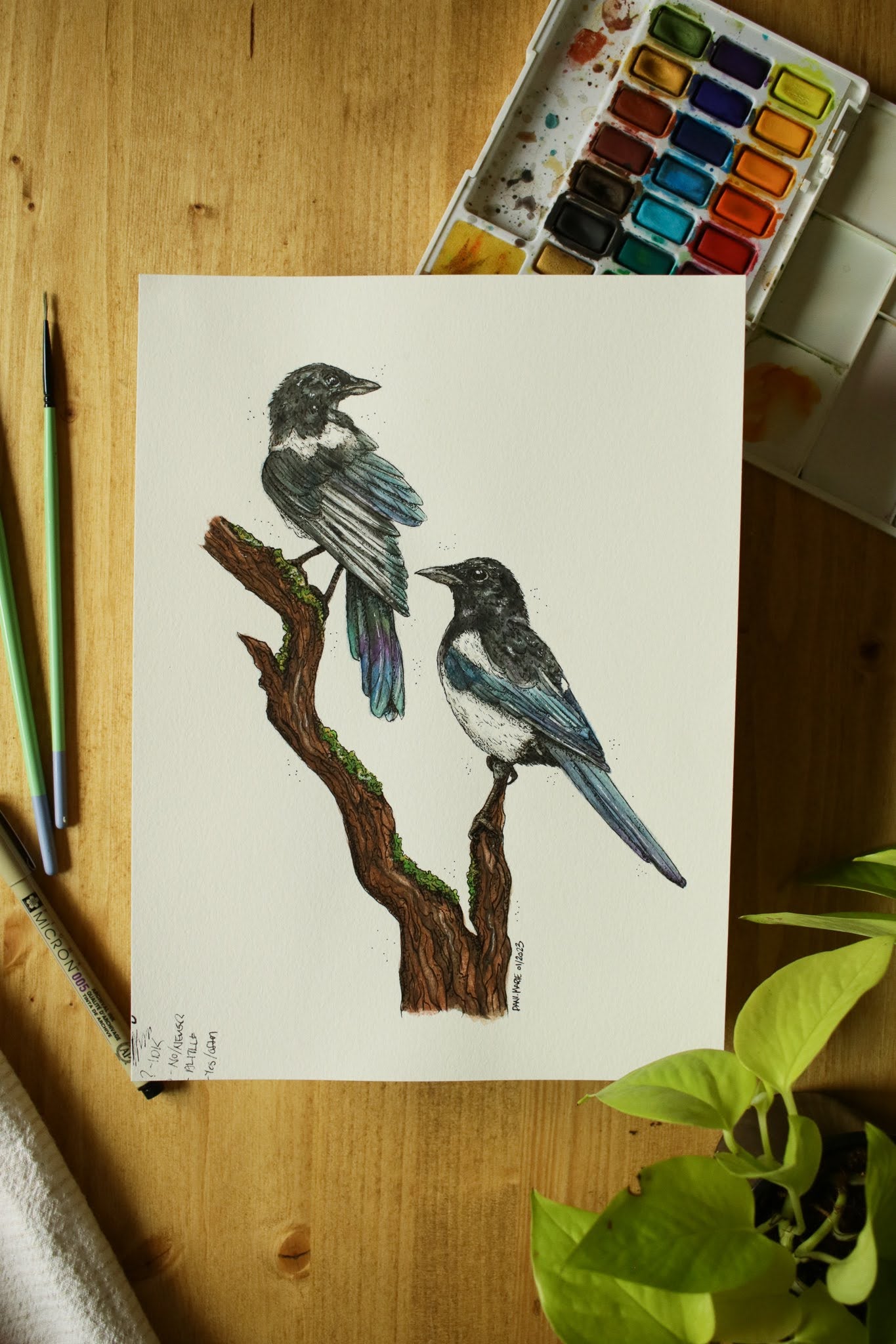 Magpies - Original Watercolour Painting