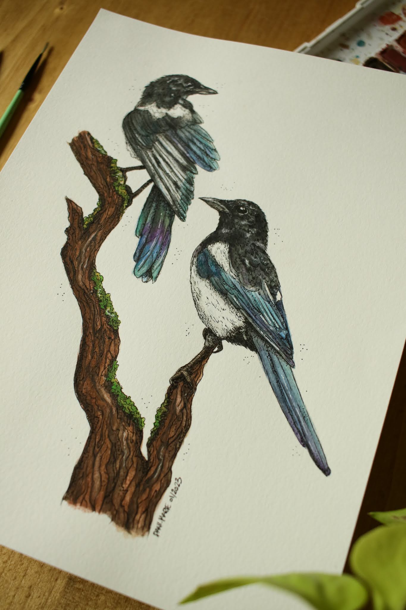 Magpies - Original Watercolour Painting