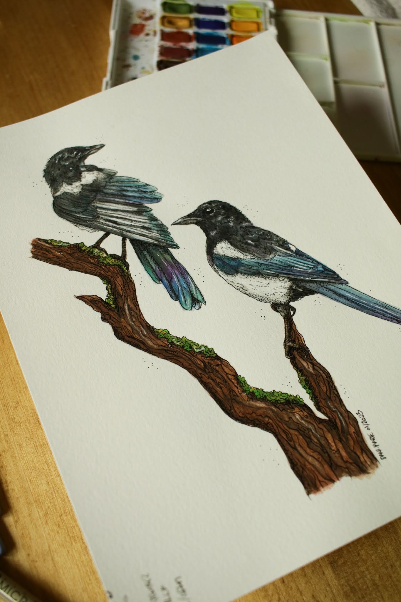 Magpies - Original Watercolour Painting