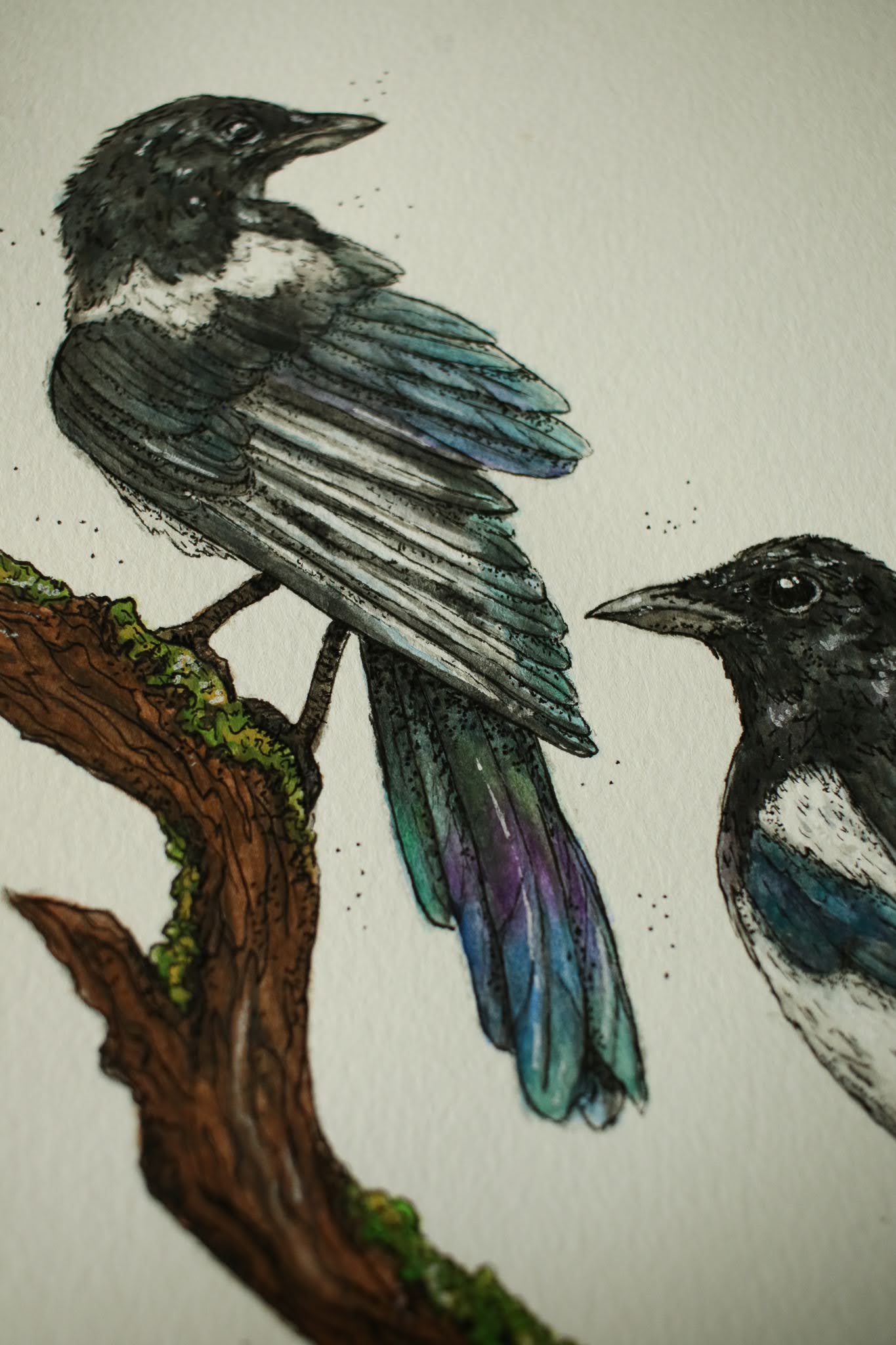 Magpies - Original Watercolour Painting