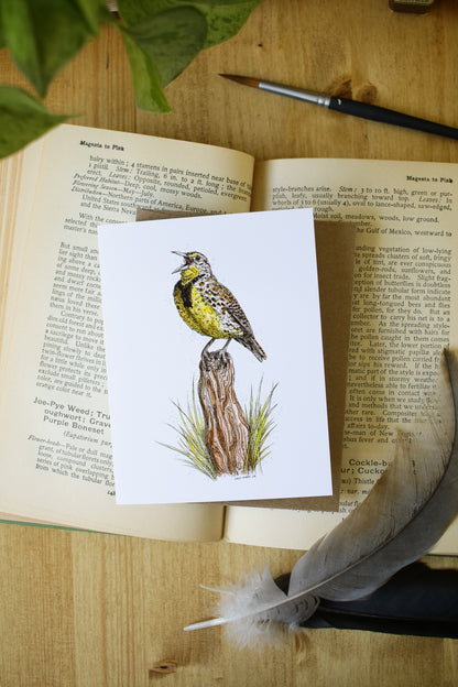 Meadow Lark - SMALL Greeting Card