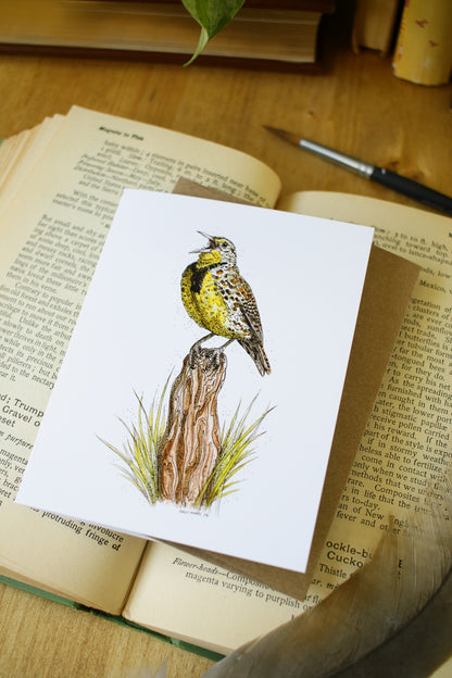 Meadow Lark - SMALL Greeting Card