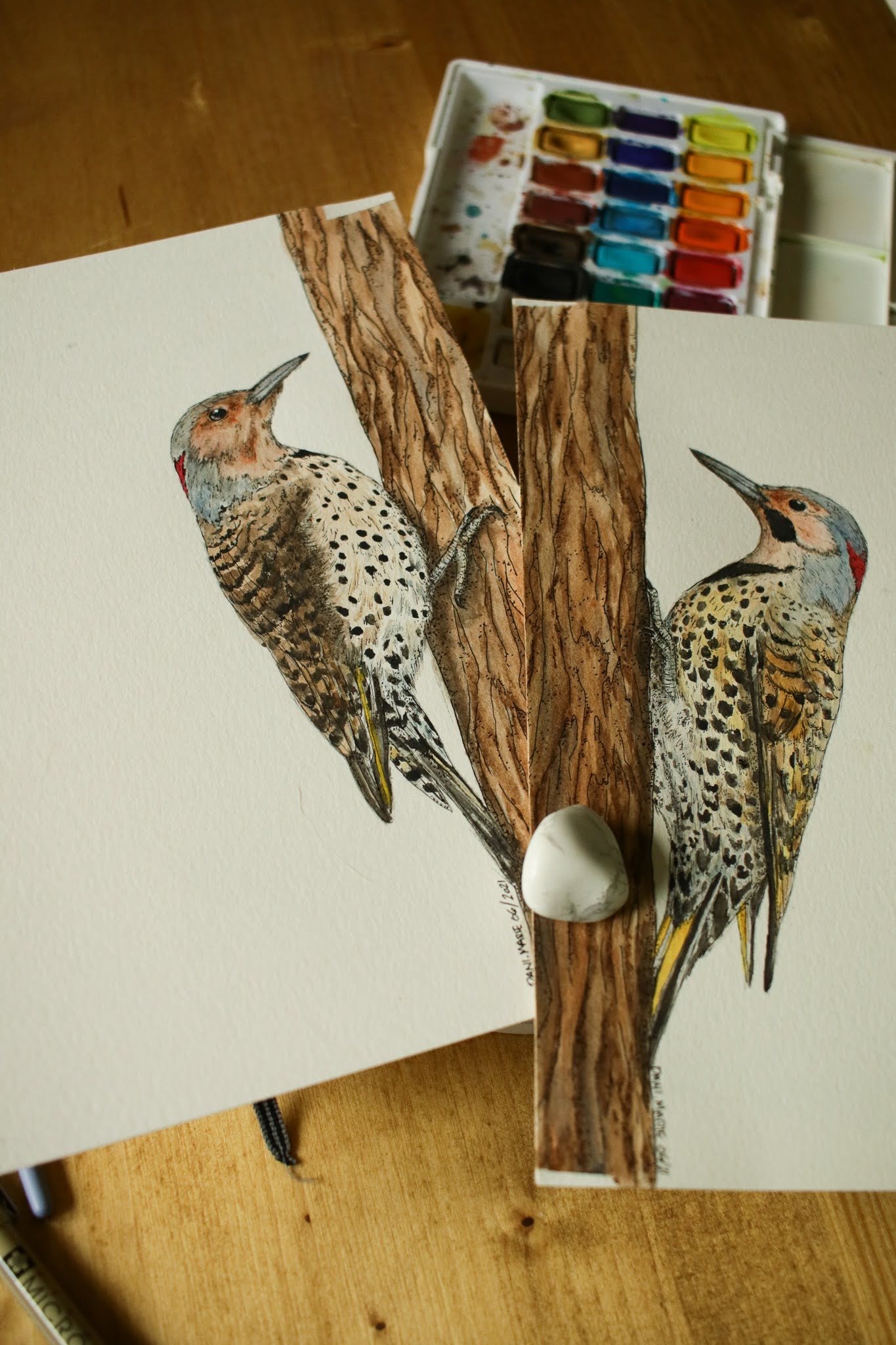 Northern Flicker (Female) - Original Watercolour Painting