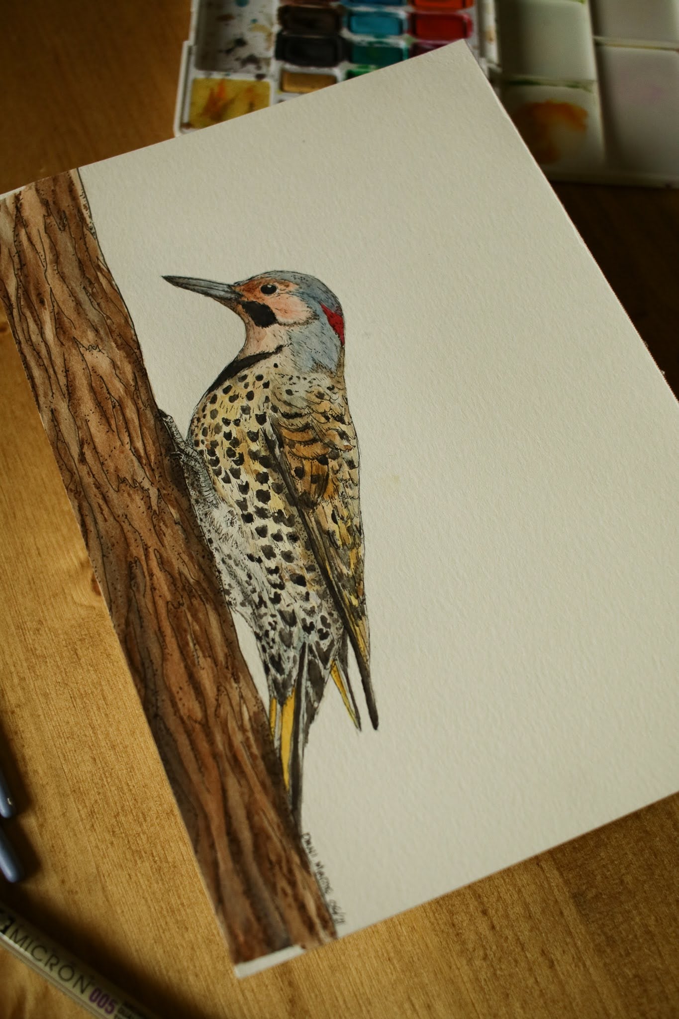 Northern Flicker (Male) - Original Watercolour Painting