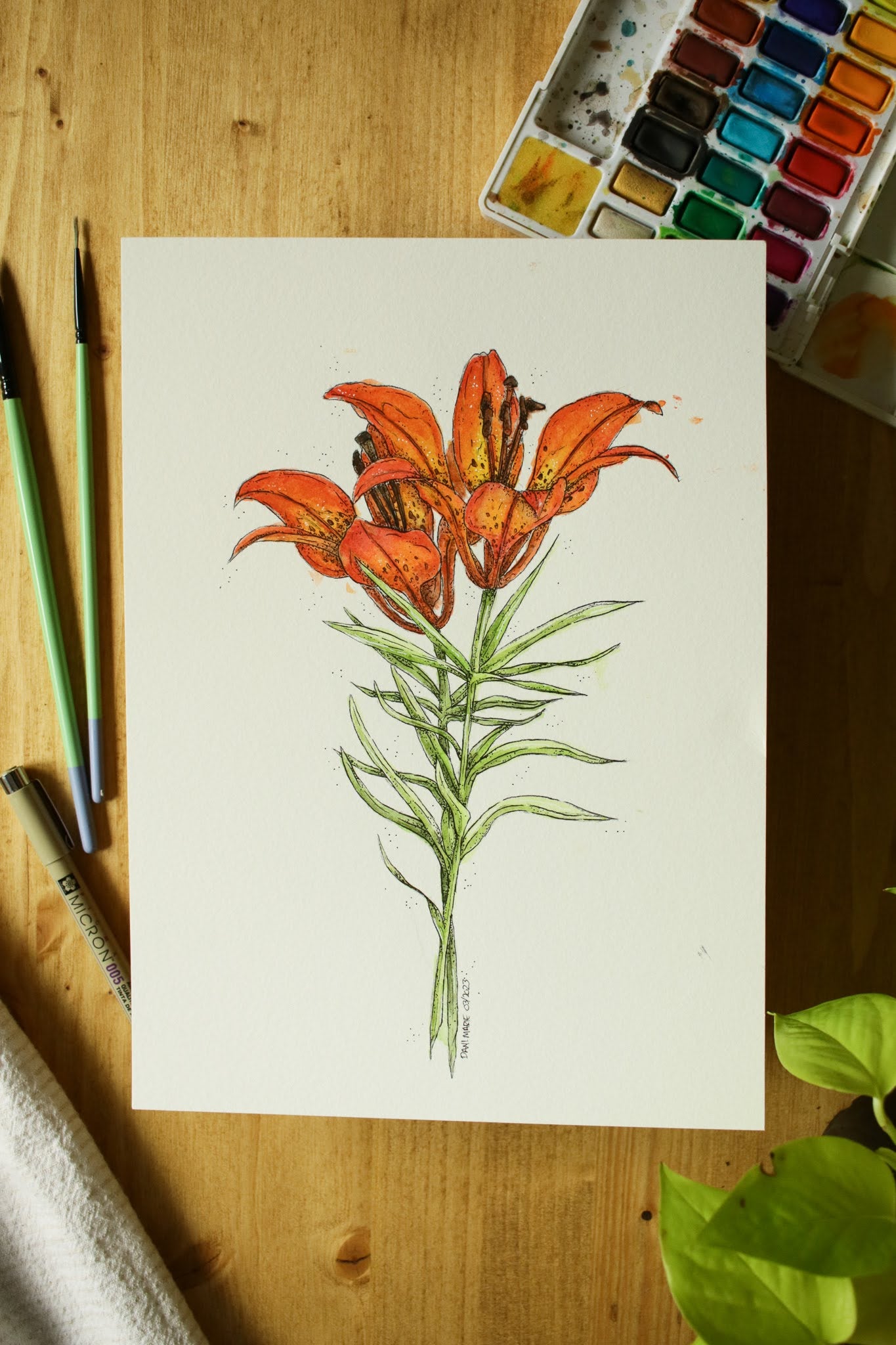 Prairie Lily - Original Watercolour Painting