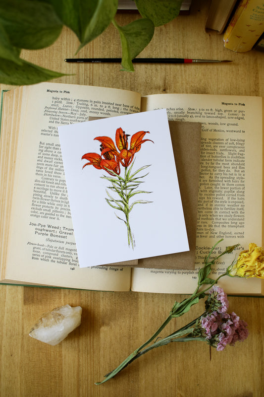Western Red Lily - SMALL Greeting Card