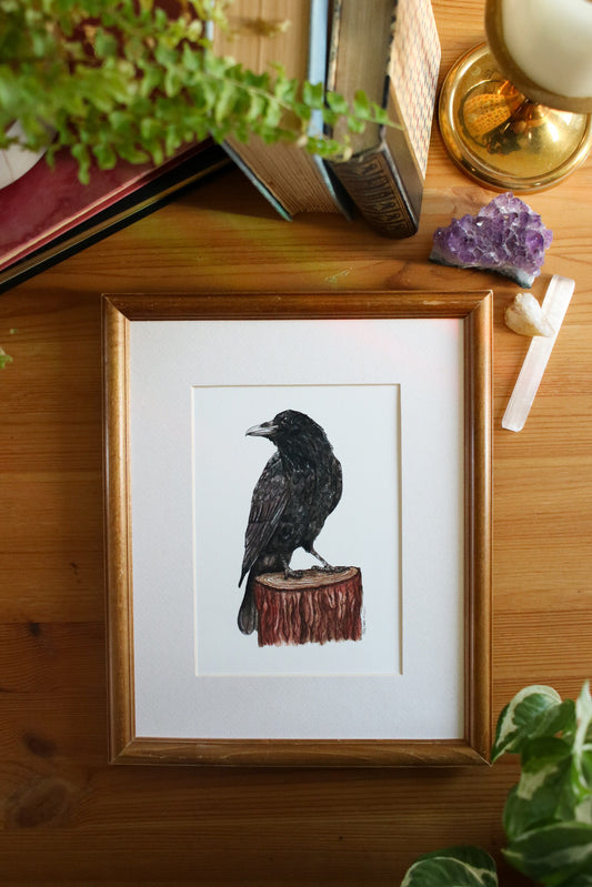 Raven
