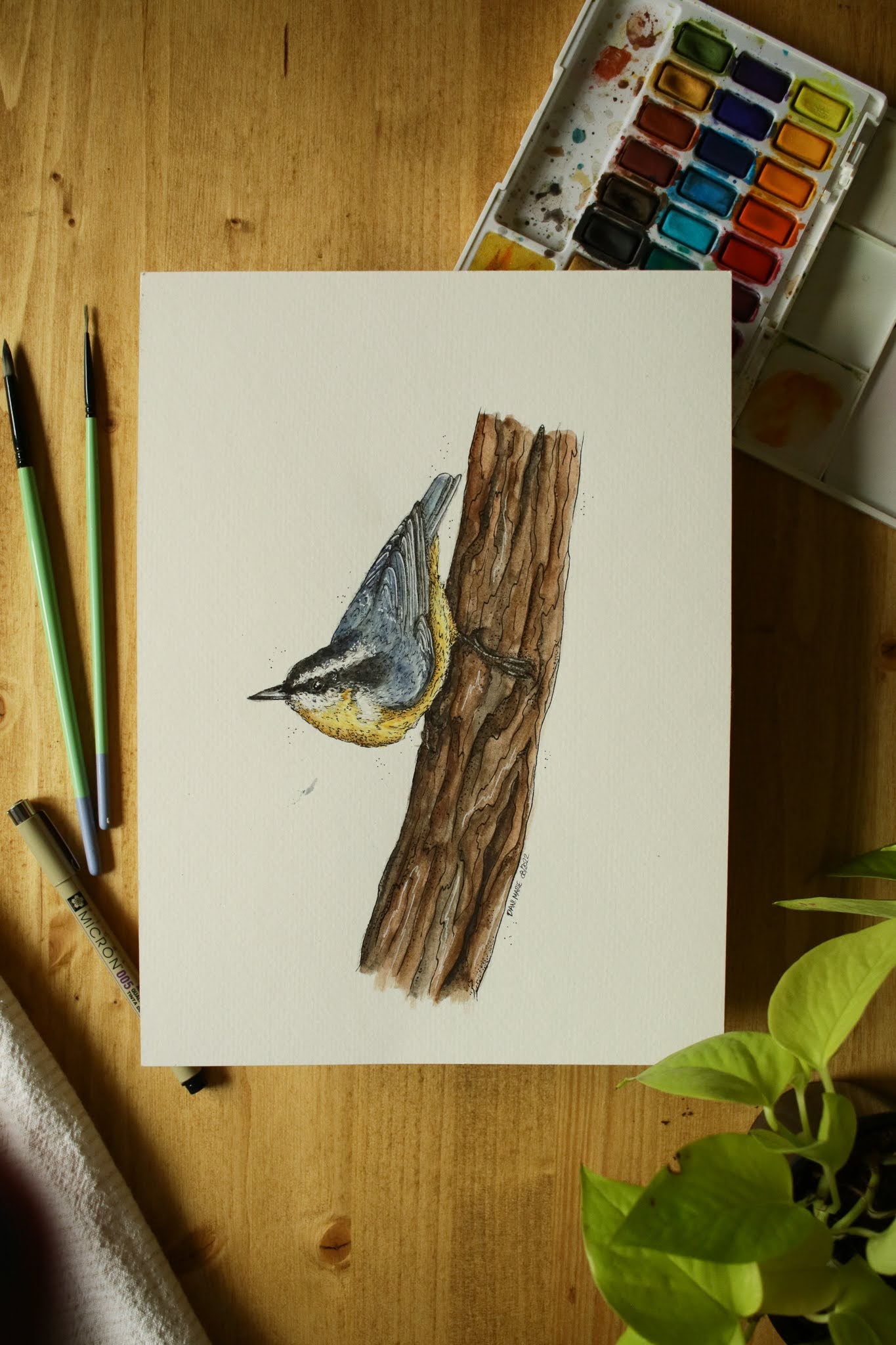 Red-breasted Nuthatch - Original Watercolour Painting