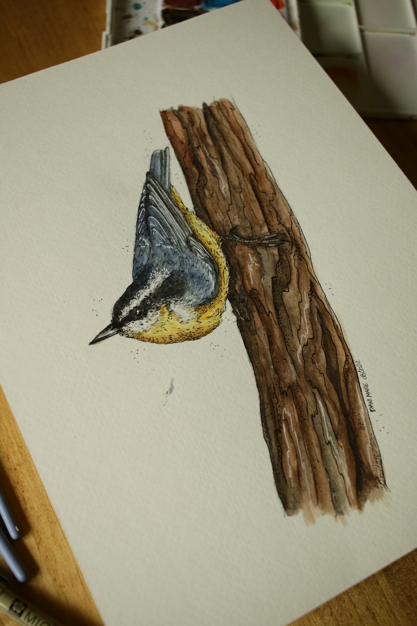 Red-breasted Nuthatch - Original Watercolour Painting