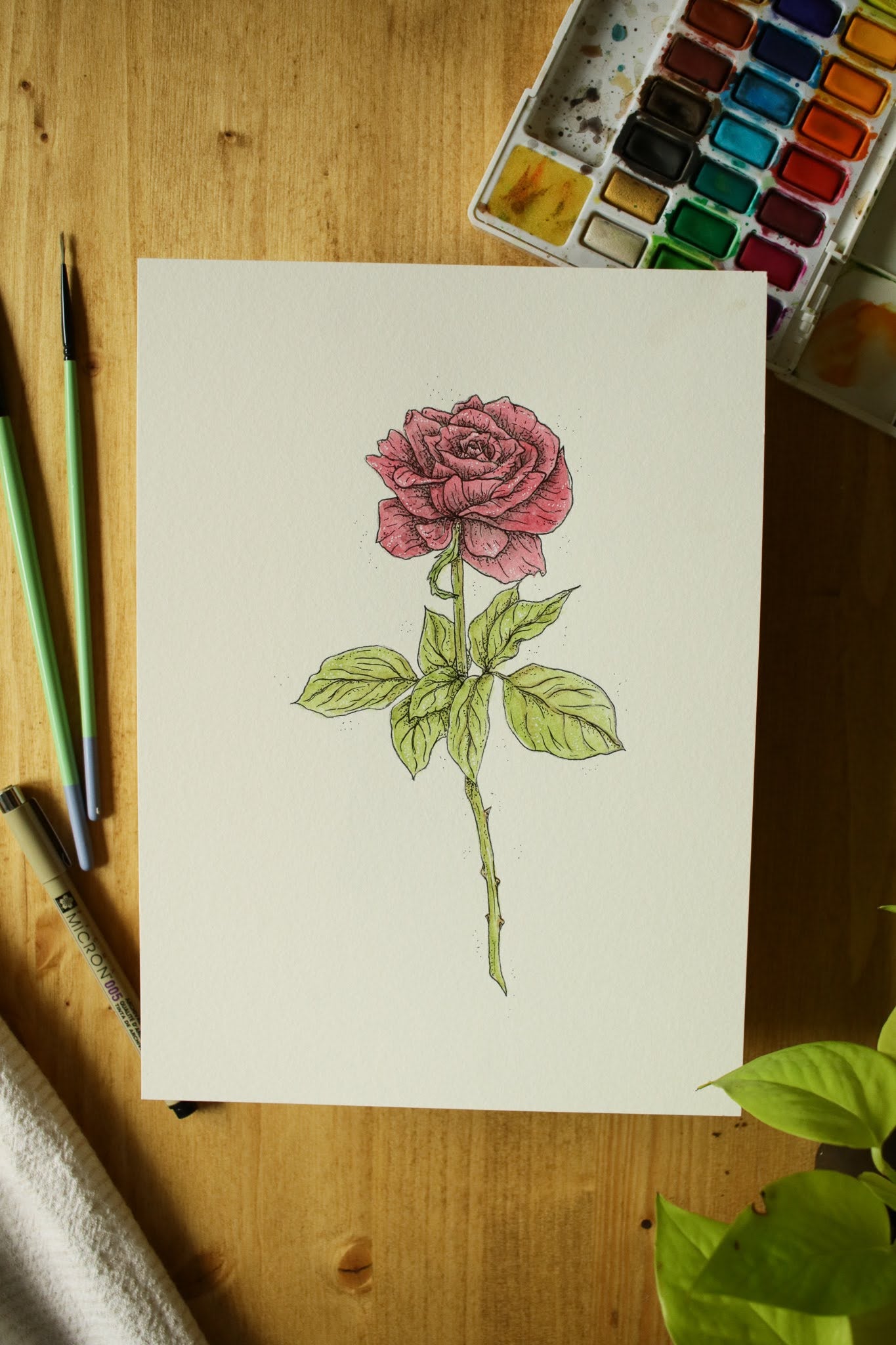 Red Rose - Original Watercolour Painting