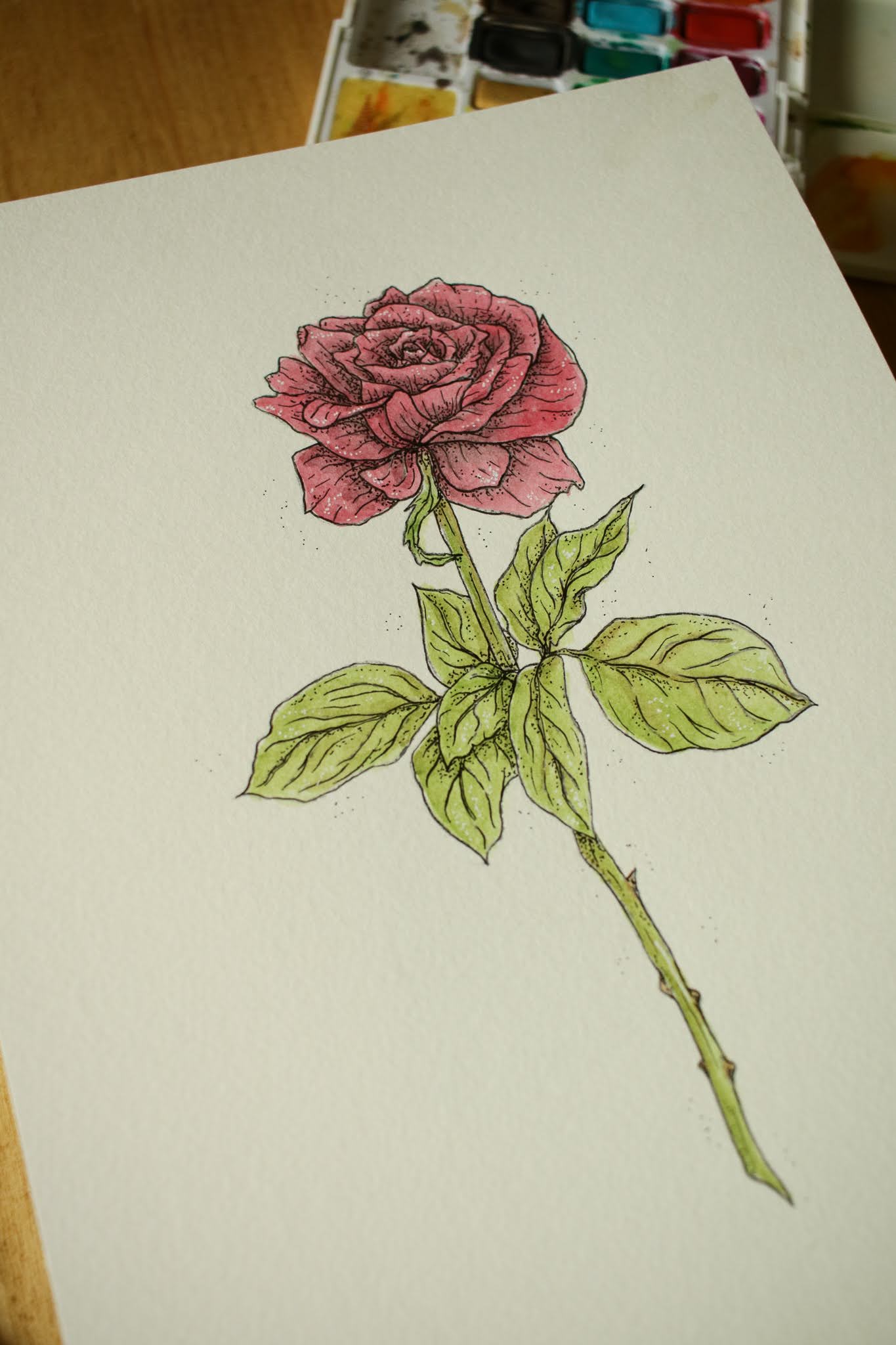 Red Rose - Original Watercolour Painting