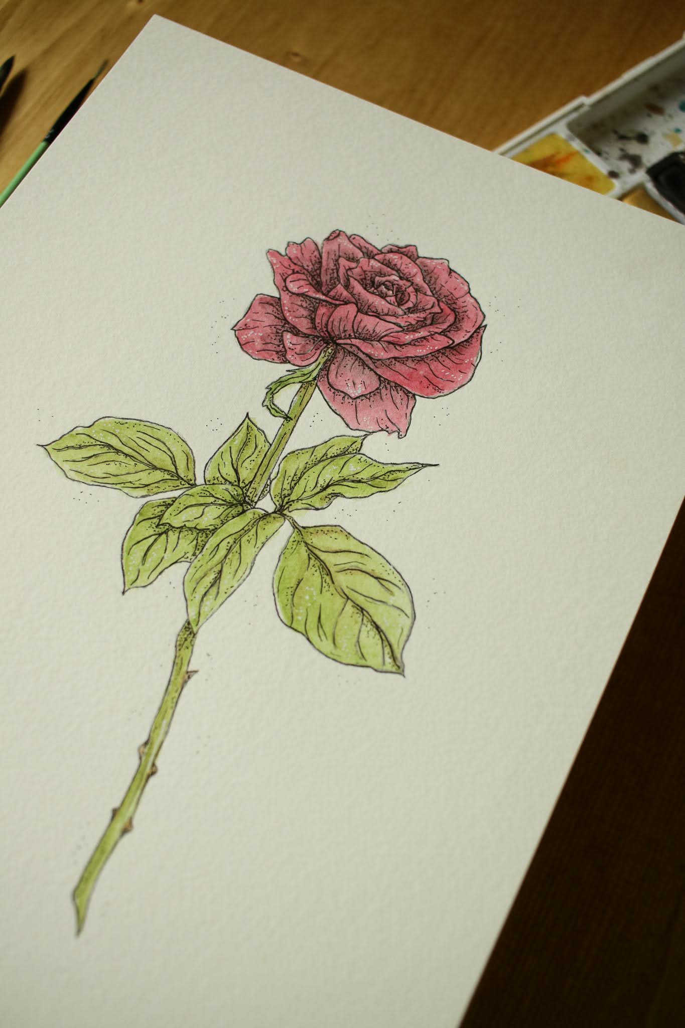 Red Rose - Original Watercolour Painting