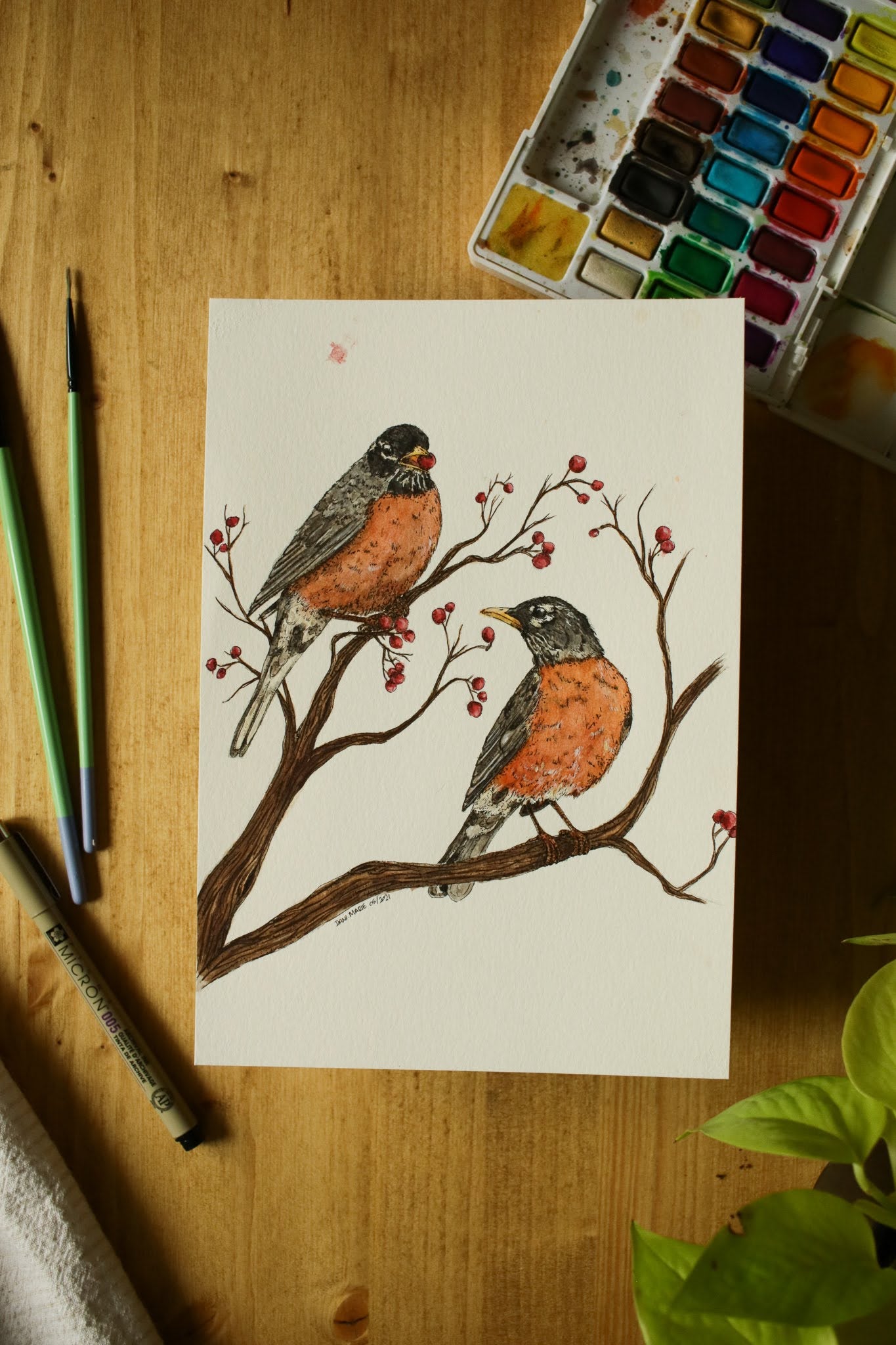 Robins - Original Watercolour Painting