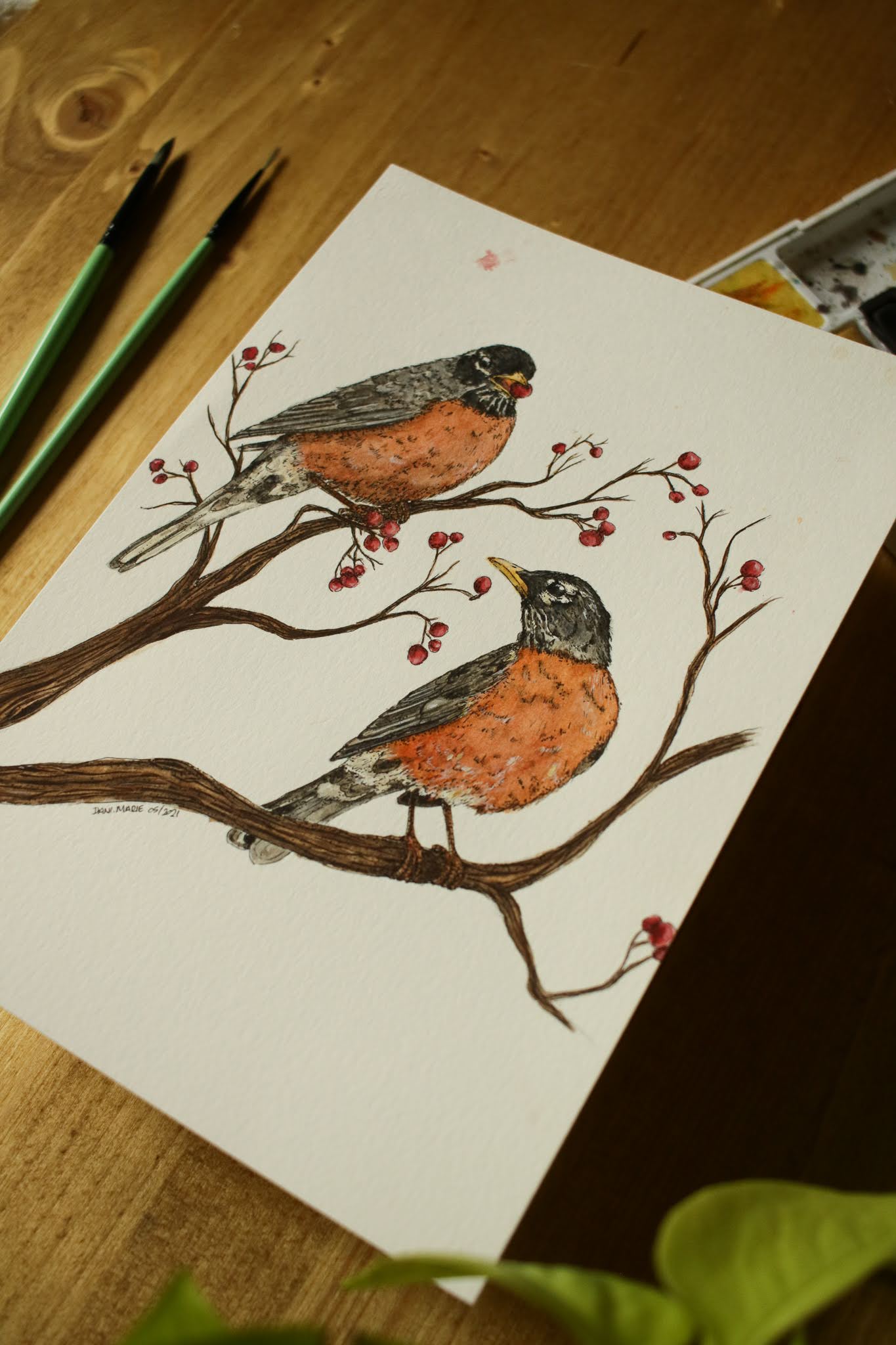 Robins - Original Watercolour Painting