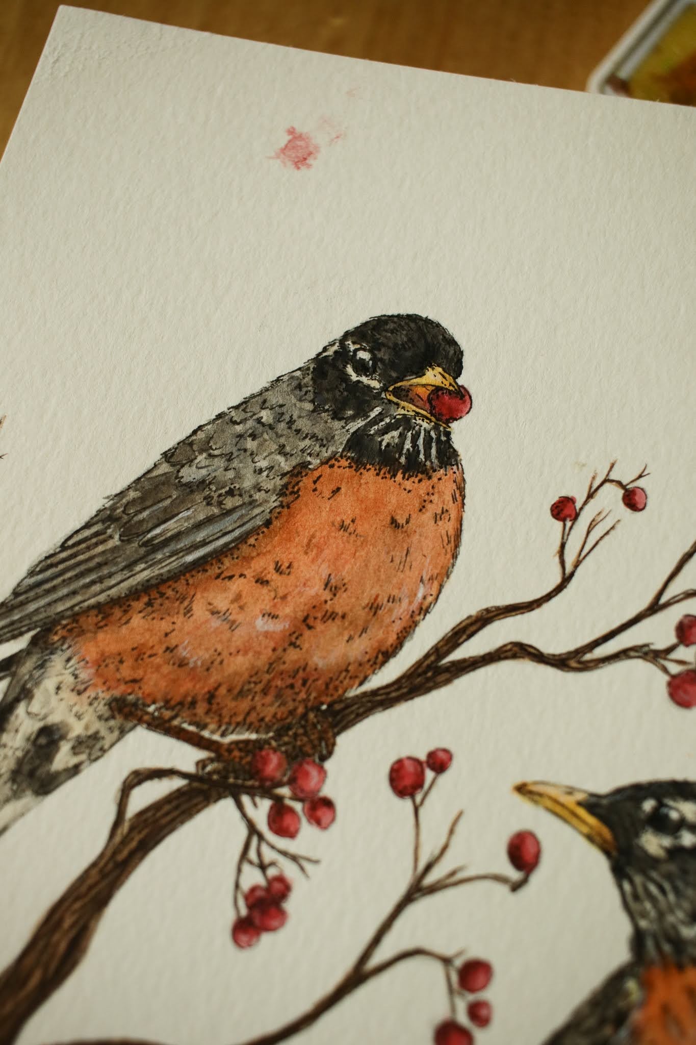 Robins - Original Watercolour Painting