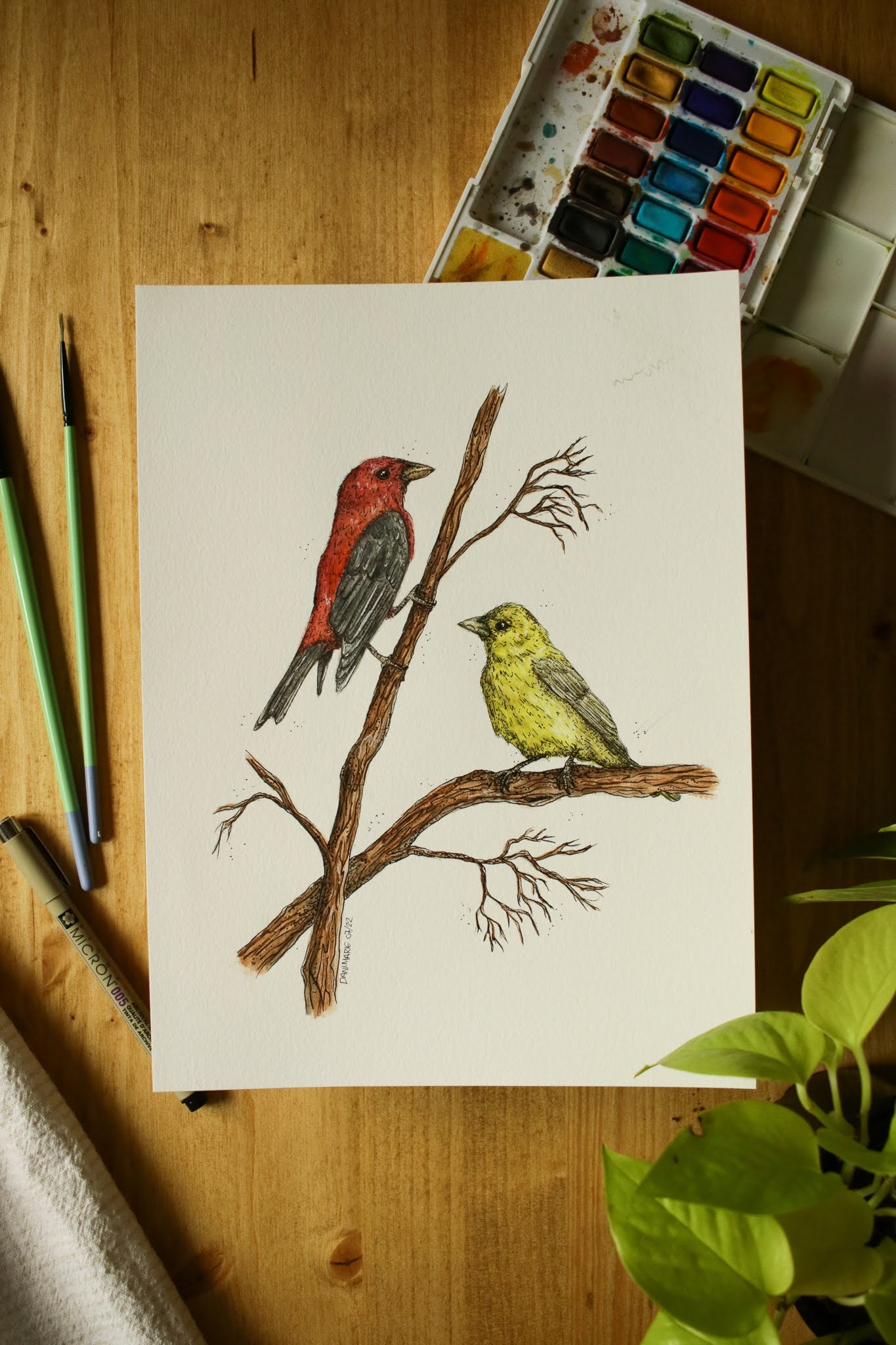 Scarlet Tanager (Male + Female) - Original Watercolour Painting