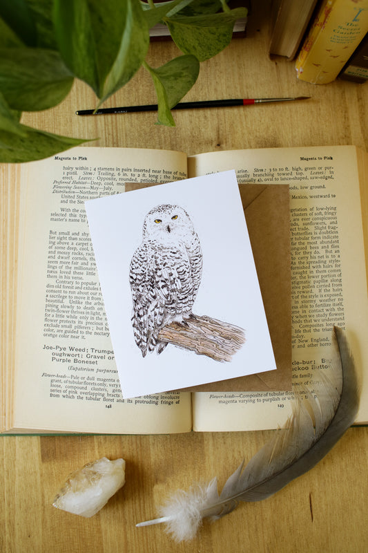 Snowy Owl - SMALL Greeting Card