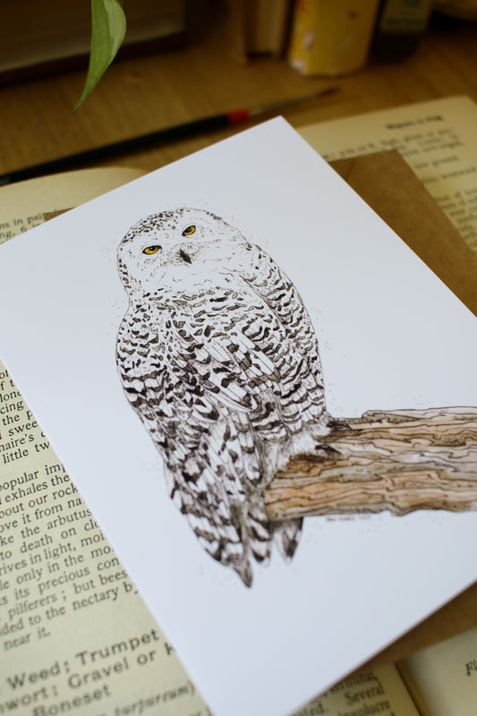 Snowy Owl - SMALL Greeting Card