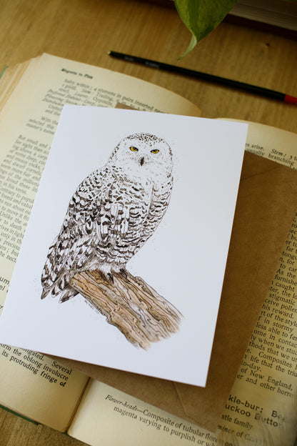 Snowy Owl - SMALL Greeting Card