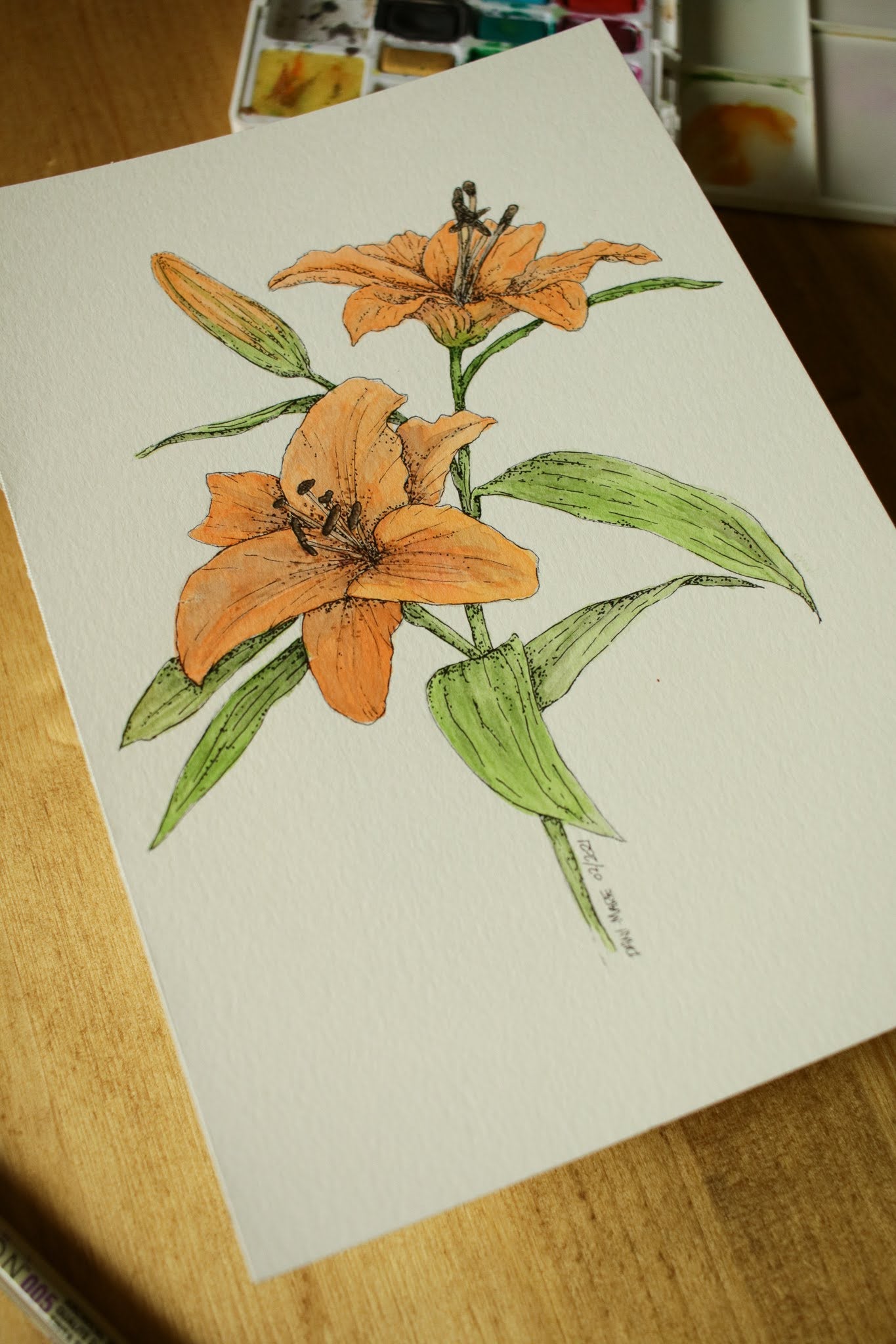 Tiger Lilies - Original Watercolour Painting