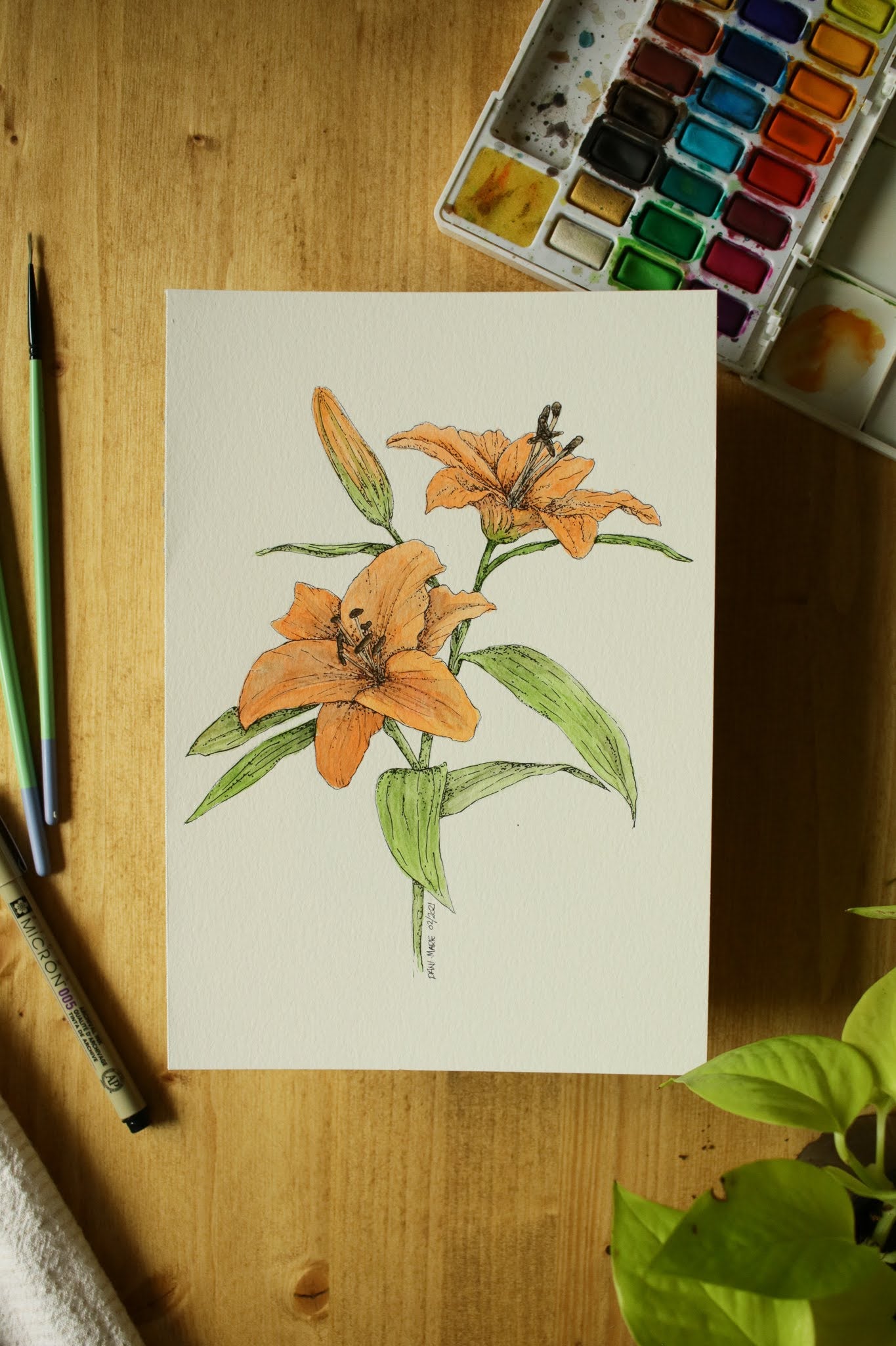 Tiger Lilies - Original Watercolour Painting