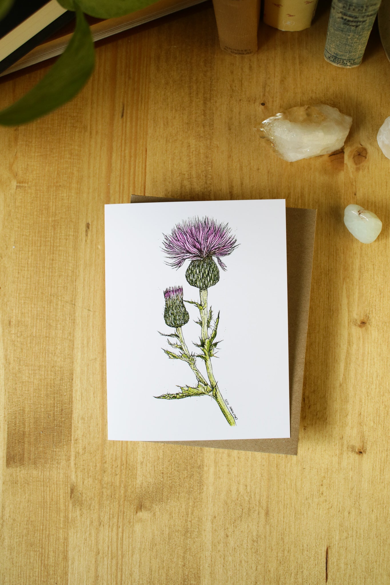 Wavy-Leaf Thistle - SMALL Greeting Card
