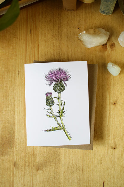 Wavy-Leaf Thistle - SMALL Greeting Card