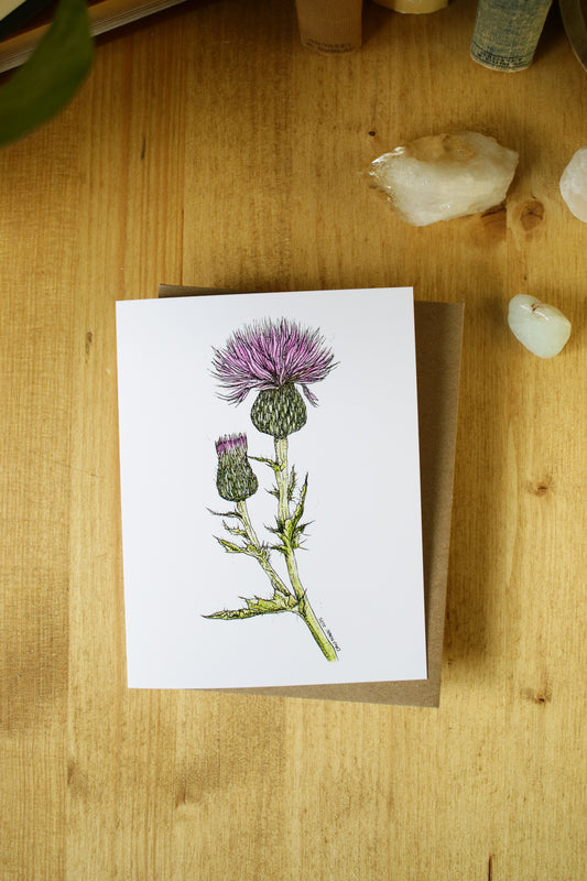Wavy-Leaf Thistle - SMALL Greeting Card