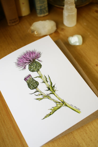 Wavy-Leaf Thistle - SMALL Greeting Card