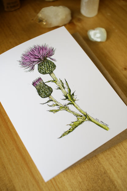 Wavy-Leaf Thistle - SMALL Greeting Card
