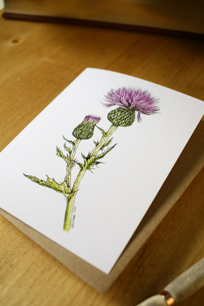Wavy-Leaf Thistle - SMALL Greeting Card