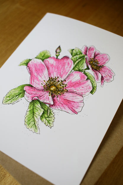 Woods Rose - SMALL Greeting Card