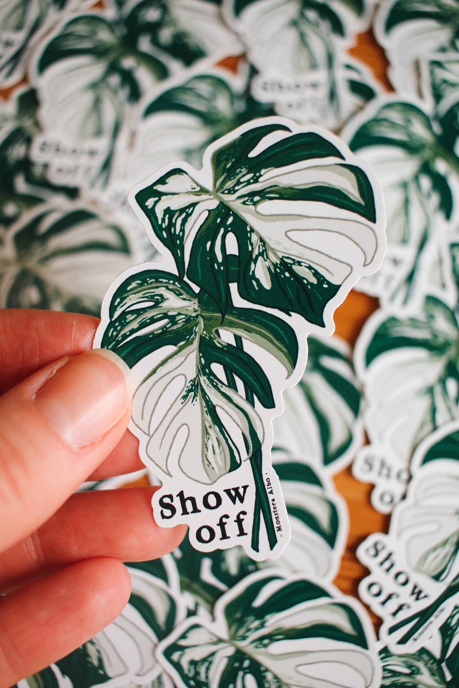 Show Off - Monstera Albo Plant Sticker