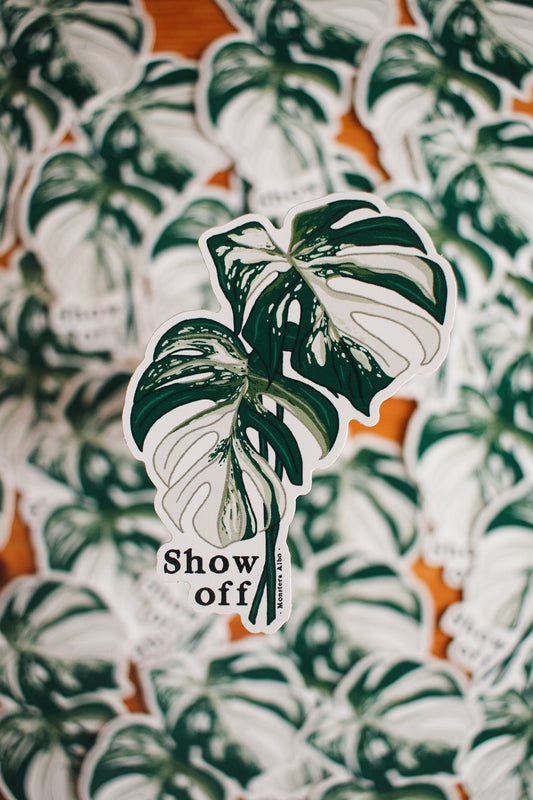 Show Off - Monstera Albo Plant Sticker