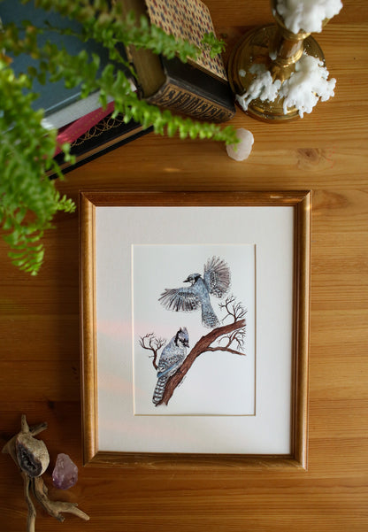 Blue Jays