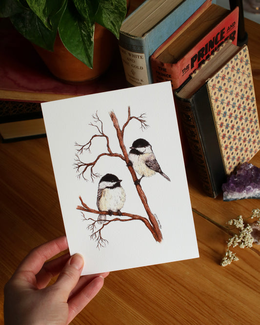 Chickadee