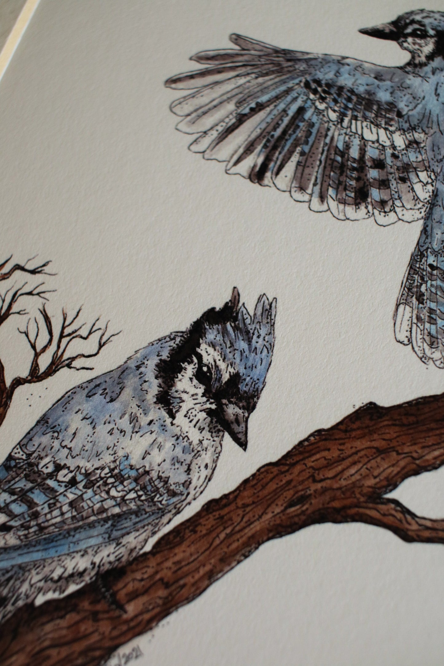 Blue Jays