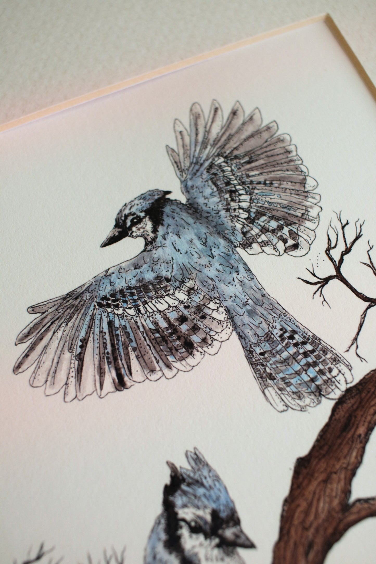 Blue Jays