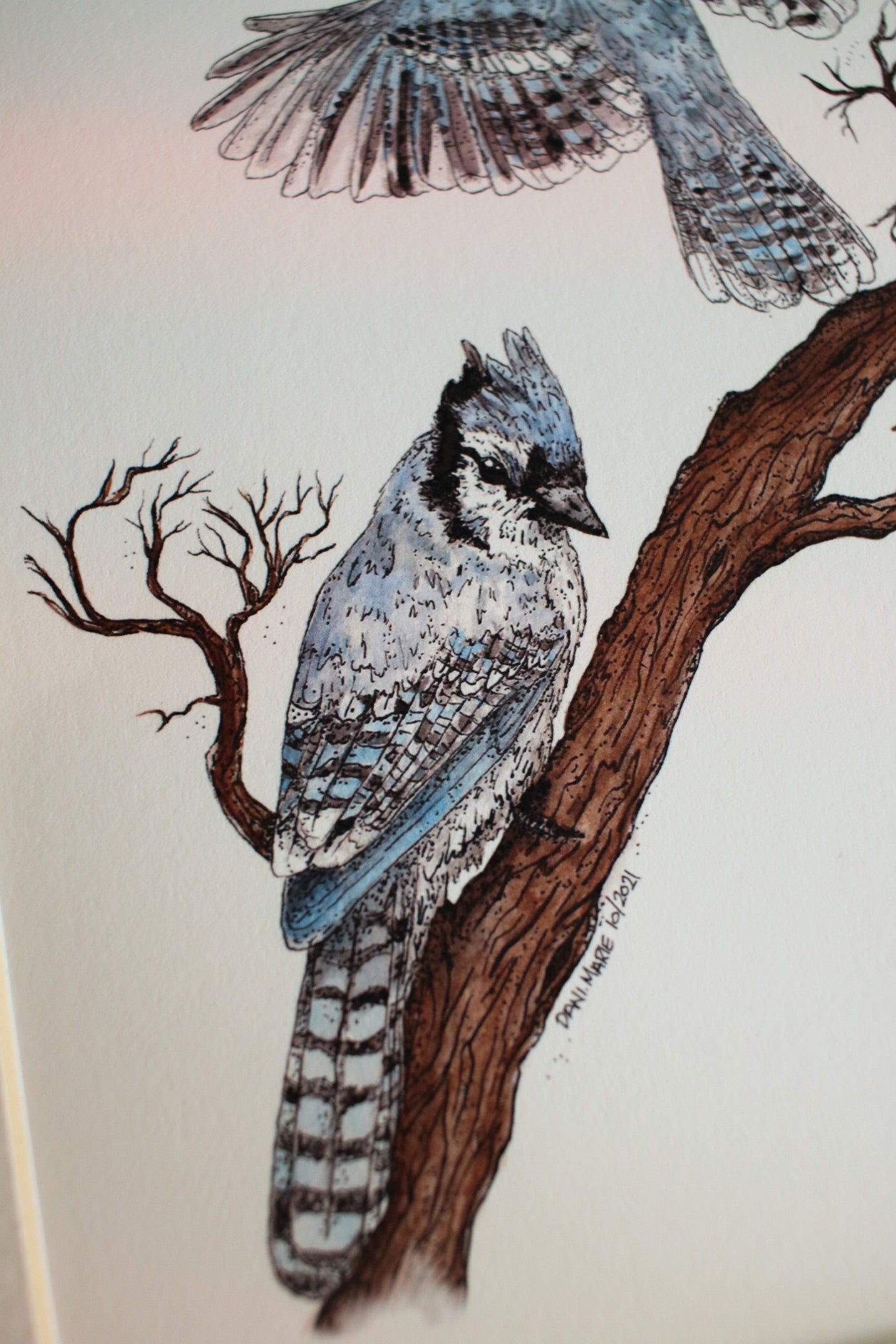Blue Jays