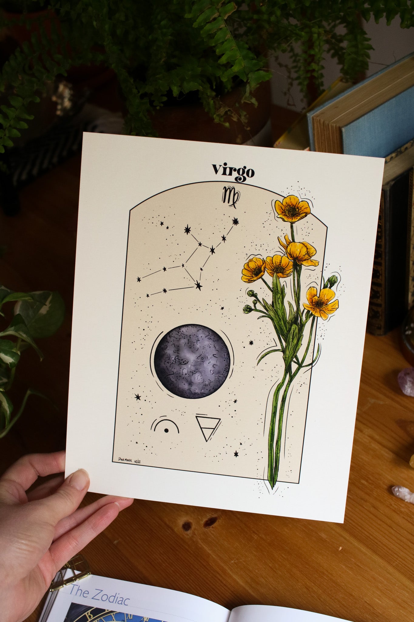 Virgo - Astrology Infographic