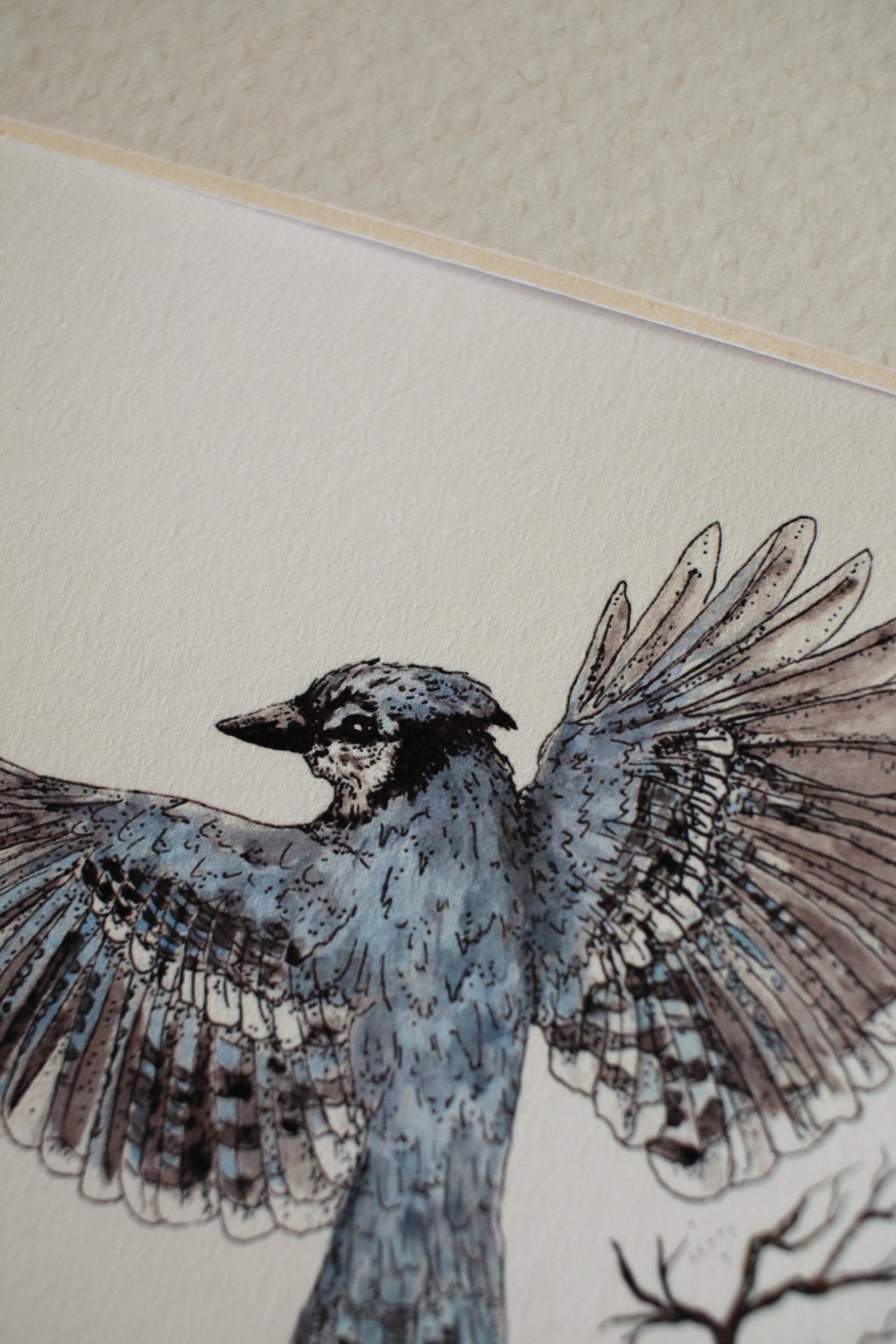 Blue Jays