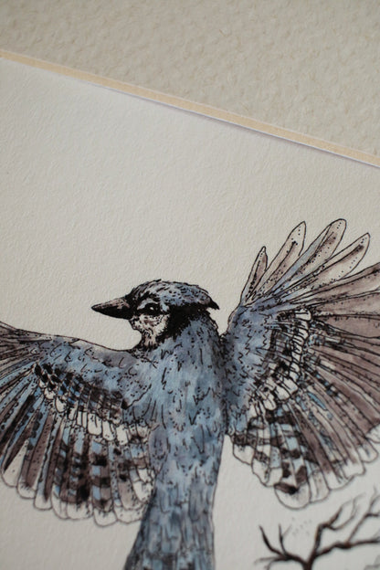 Blue Jays