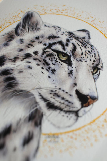 Snow Leopard