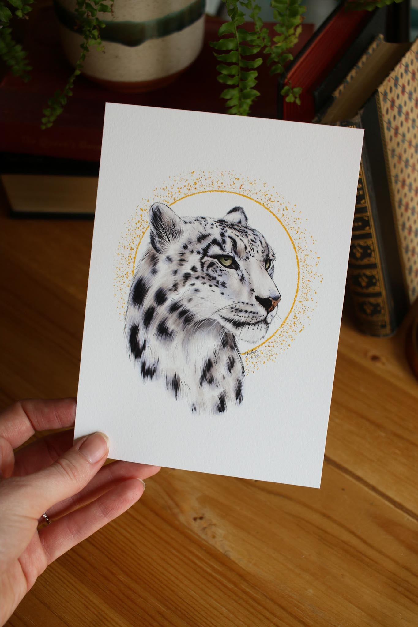 Snow Leopard