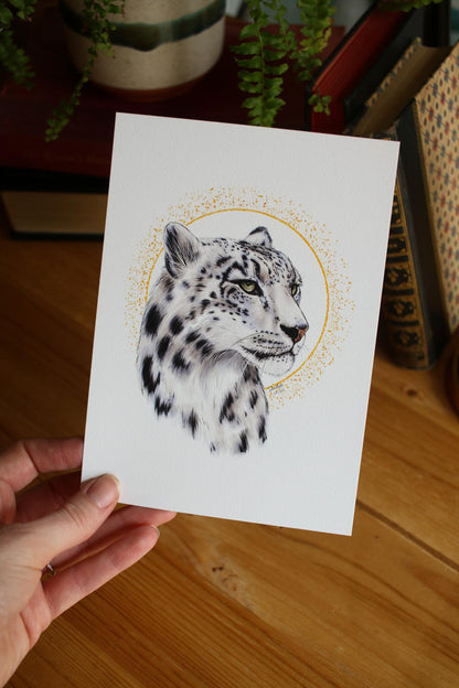 Snow Leopard