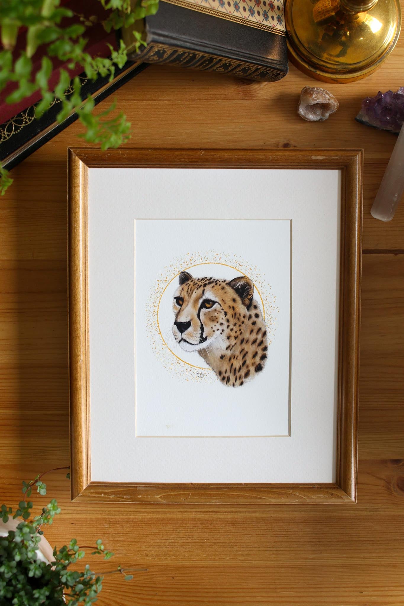 Cheetah