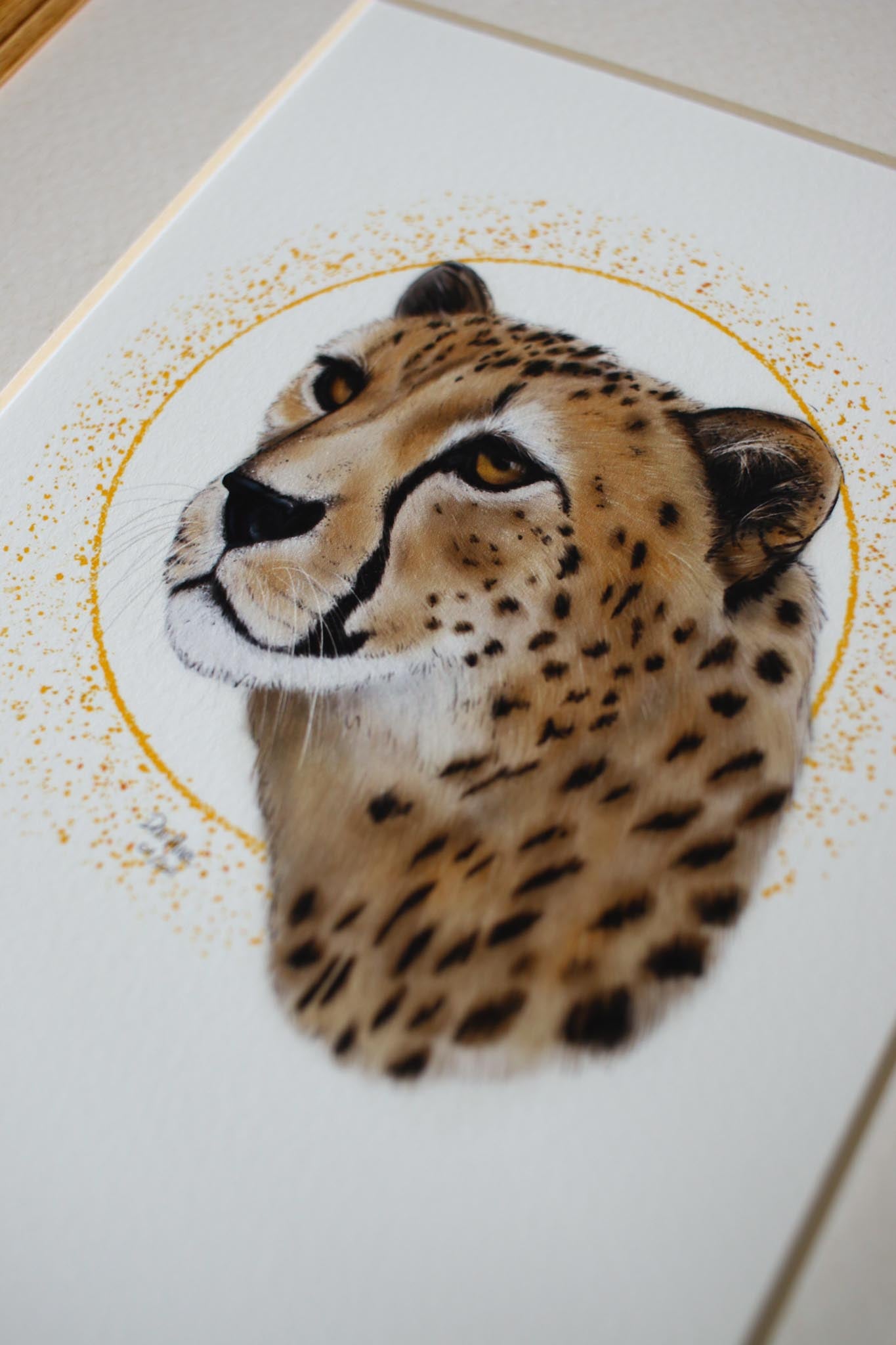 Cheetah